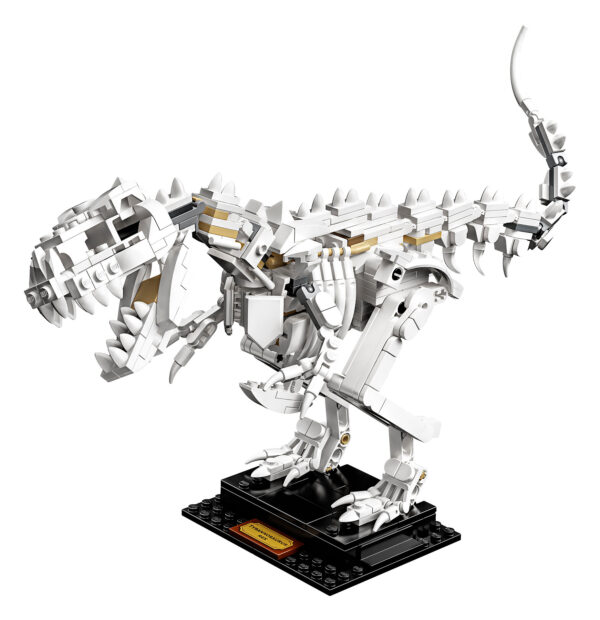 LEGO® Ideas Dinosaurier-Fossilien 21320 | 4