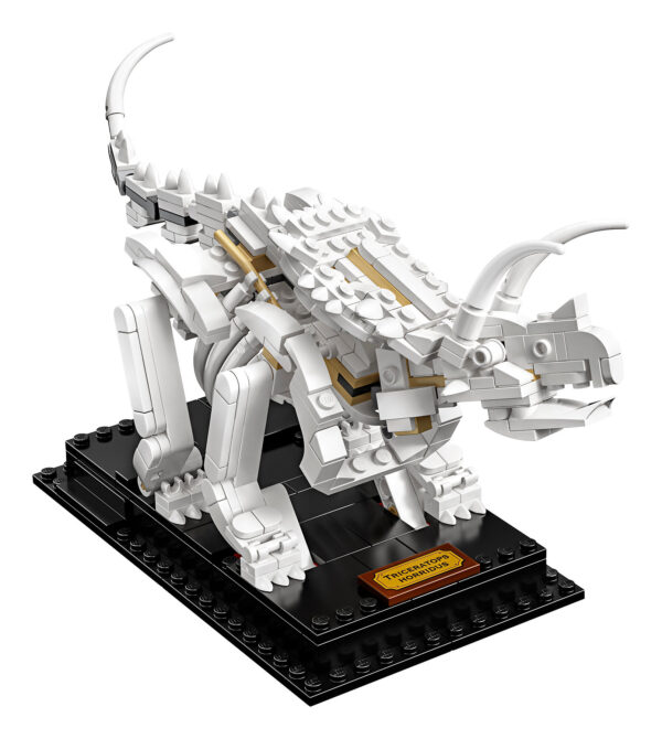 LEGO® Ideas Dinosaurier-Fossilien 21320 | 7