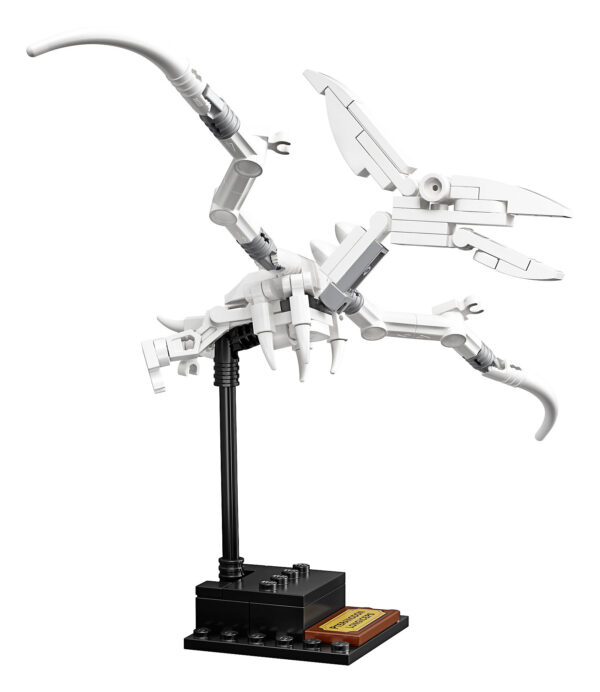 LEGO® Ideas Dinosaurier-Fossilien 21320 | 8